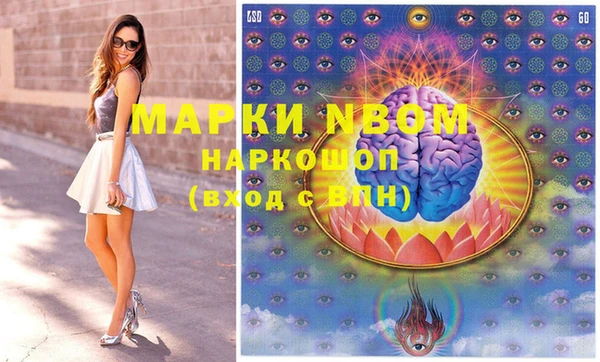 индика Протвино