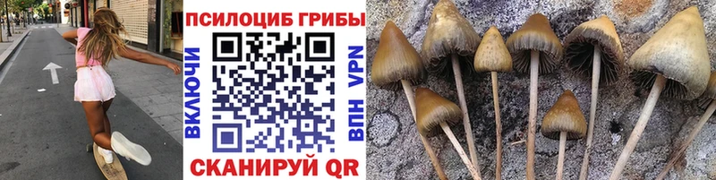 купить закладку  Мезень  Псилоцибиновые грибы прущие грибы 